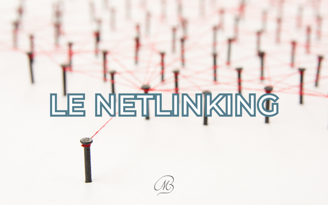 Le Netlinking, c’est quoi ? Pourquoi c’est important pour votre SEO